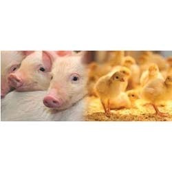 Manufacturers Exporters and Wholesale Suppliers of Animal Nutrition Bhiwandi Maharashtra